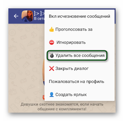 Опция Удалить все сообщения в меню в чате Друг Вокруг
