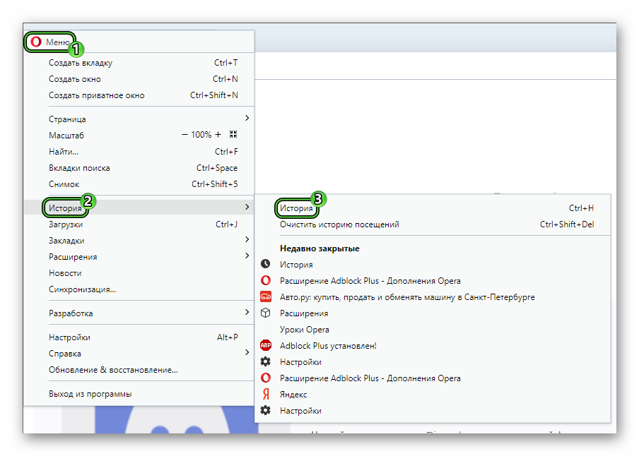 Открой историю посещений. История браузера опера. Где в опере история просмотров. Как найти историю в опере. Меню истории браузера.