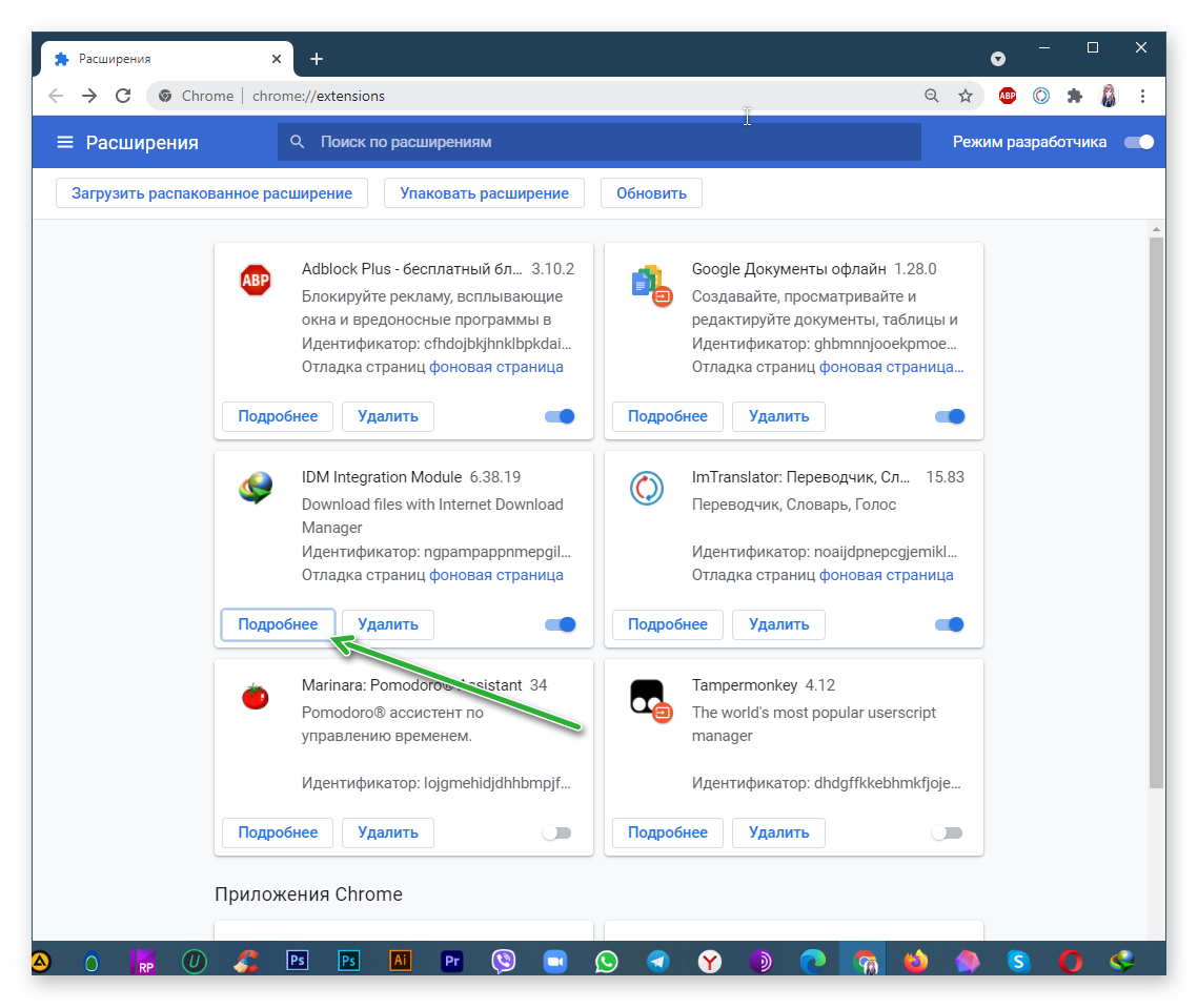 Настройки Расширения Google Chrome IDM