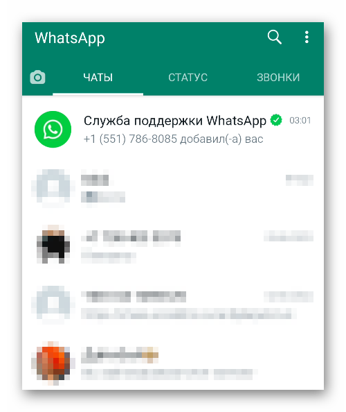 Переписка со службой поддержки в приложении WhatsApp