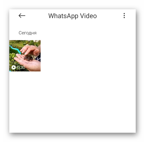 Папка WhatsApp Video в галерее Android-устройства