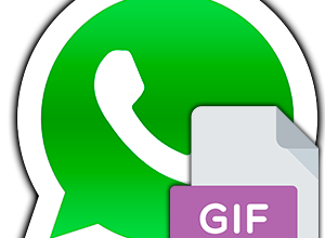 Как отправить Гифку в WhatsApp