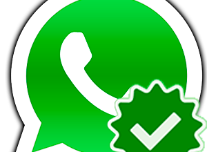 Одна галочка в WhatsApp – что значит