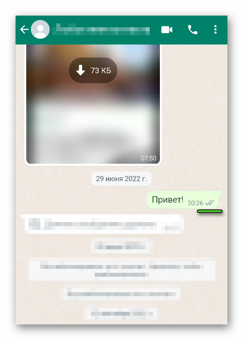 Статус отправки и прочтения сообщения в WhatsApp