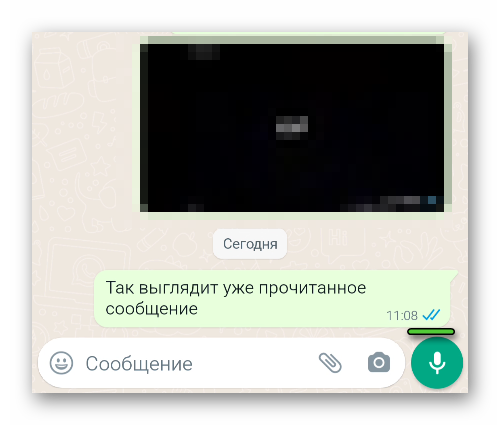 Вид сообщения с двумя синими галочками в WhatsApp