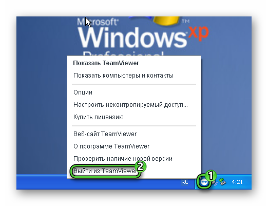 Выйти из TeamViewer через Трей в Windows XP