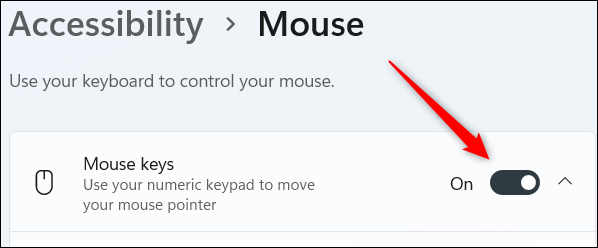 Включить клавиши мыши.