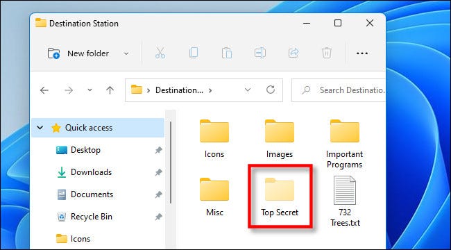 Когда скрытые папки станут видимыми, они будут полупрозрачными или бледными в Windows 11.