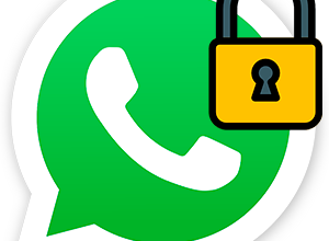 Как запретить звонки в WhatsApp