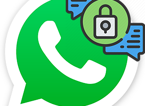 Сквозное шифрование WhatsApp – что это