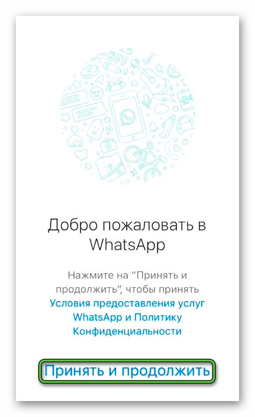 Кнопка Принять и продолжить в WhatsApp на iPhone