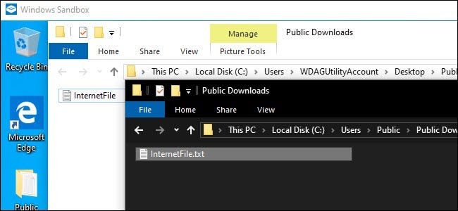 Проводник песочницы Windows и обозреватель хост-системы показывают общий файл