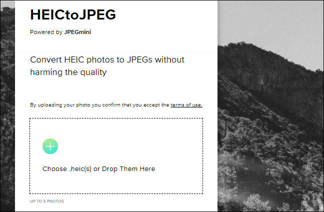 Перетащите файлы HEIC со своего компьютера, чтобы преобразовать их на веб-сайте HEIC в JPEG.